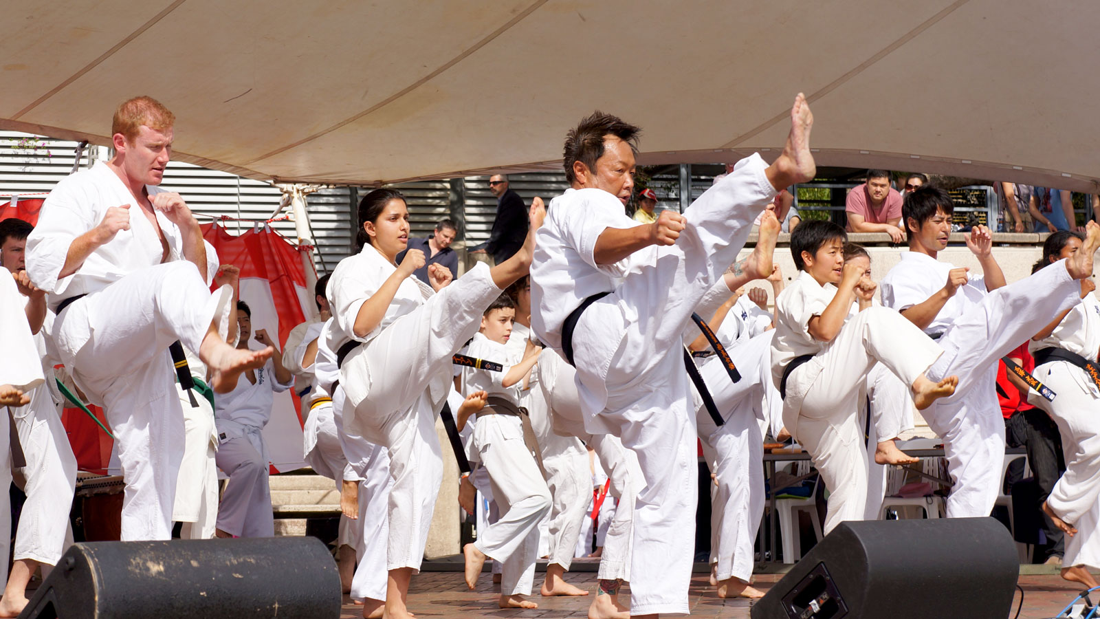 Japan Festival